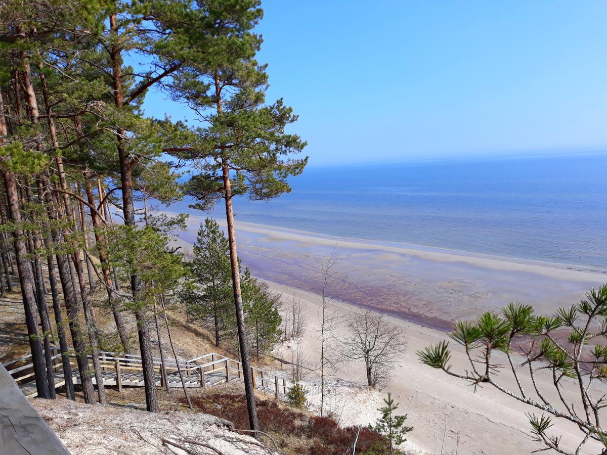 Atputas Vieta Braltirumi Purciems Buitenkant foto