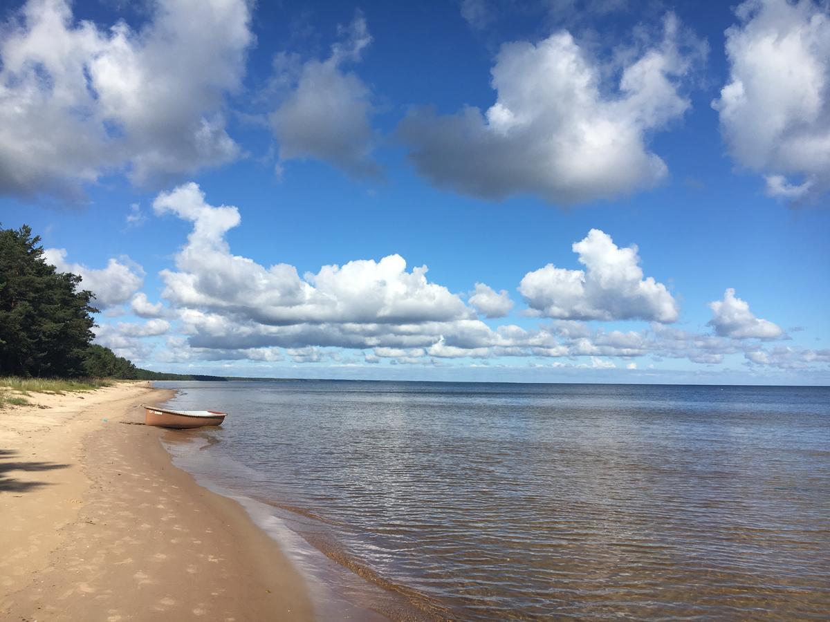 Atputas Vieta Braltirumi Purciems Buitenkant foto