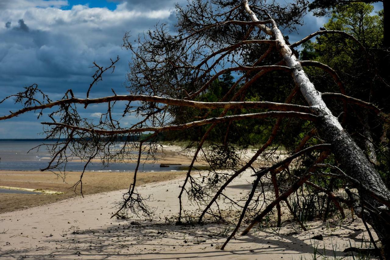 Atputas Vieta Braltirumi Purciems Buitenkant foto